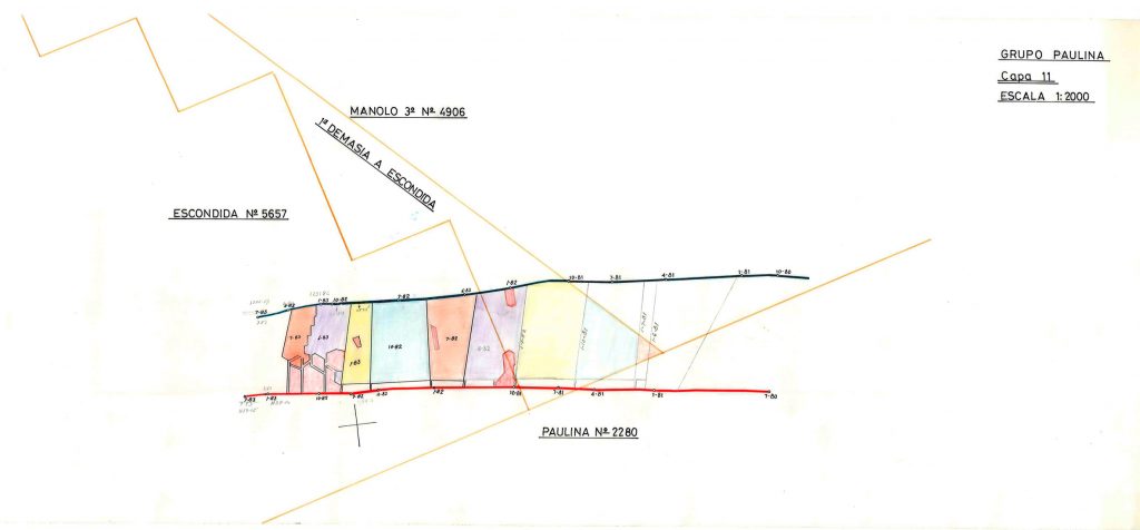 PLN 32 / TOMO 4 MSP – Grupo Paulina. Plano escala 1:2000. Capa 11