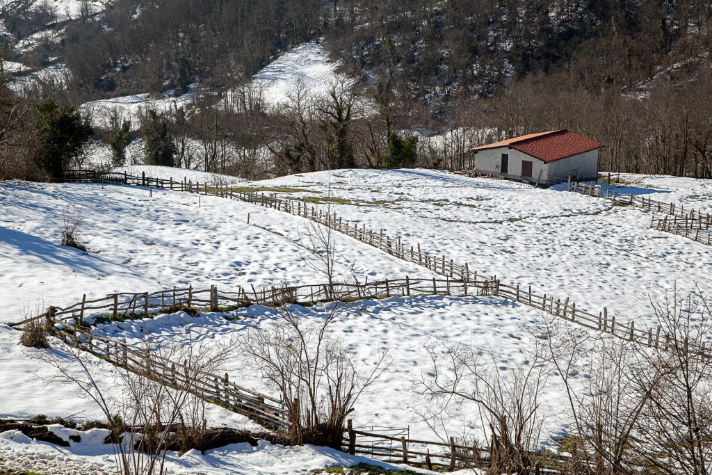 Orillés. Aller. Asturias 2021