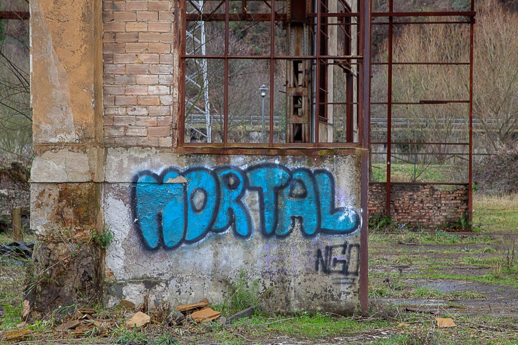 Esqueleto metálico de los Antiguos Talleres del Conde, de la empresa Duro-Felguera Langreo. Asturias 2021