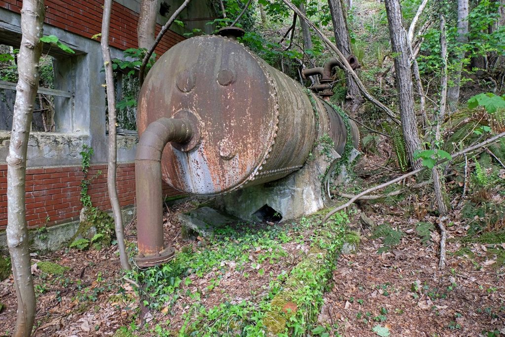 Calderín del Pozo San Fernando. Aller. Asturias. 2021