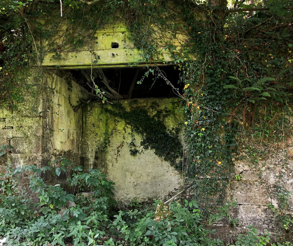 Pozo plano Fortuna. Valle de Turón. Mieres. Asturias. 2021