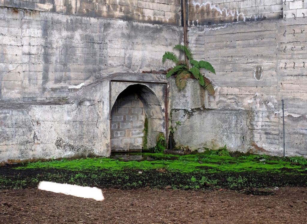 Bocamina auxiliar del primer piso de Carbonia, S.A. Arbás del Puerto. León. 2021