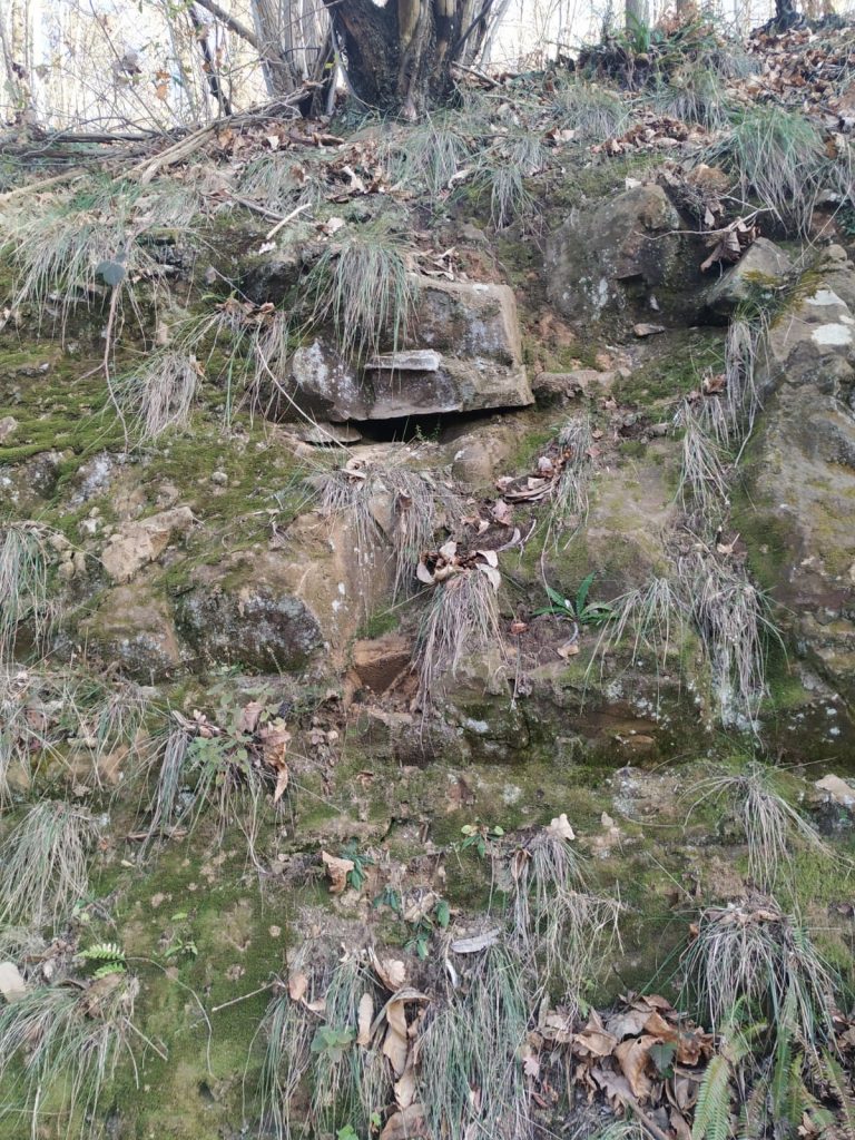 Bocamina del grupo Corujas/Curuxes, Mieres. Asturias 2022