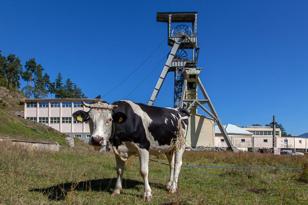 Instalaciones abandonadas de la Mina Aninoasa. Rumania 2021