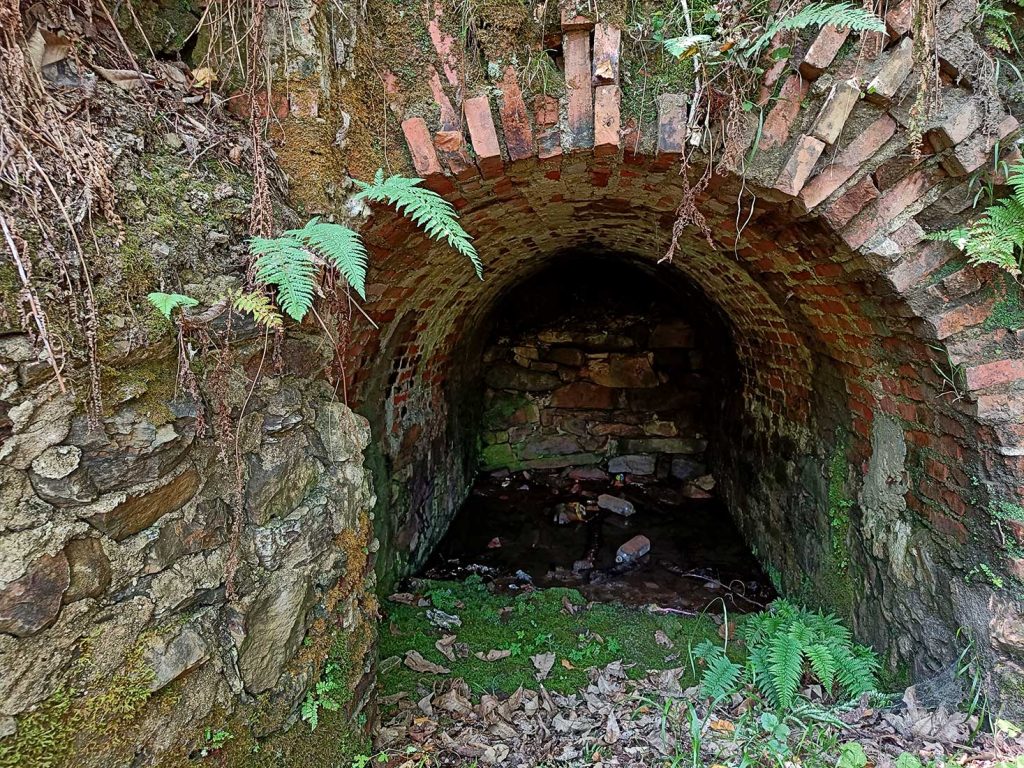 Bocamina La Isabela. Güeria San Xuan. Mieres. Asturias. 2022