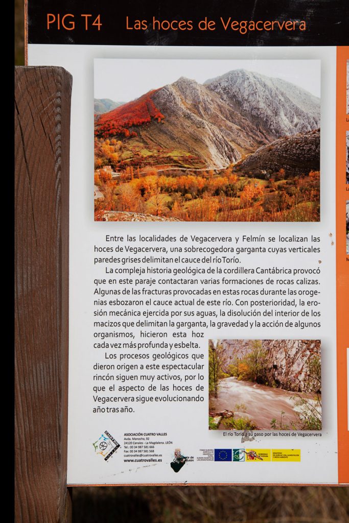 Hoces de Vegacervera. León 2019