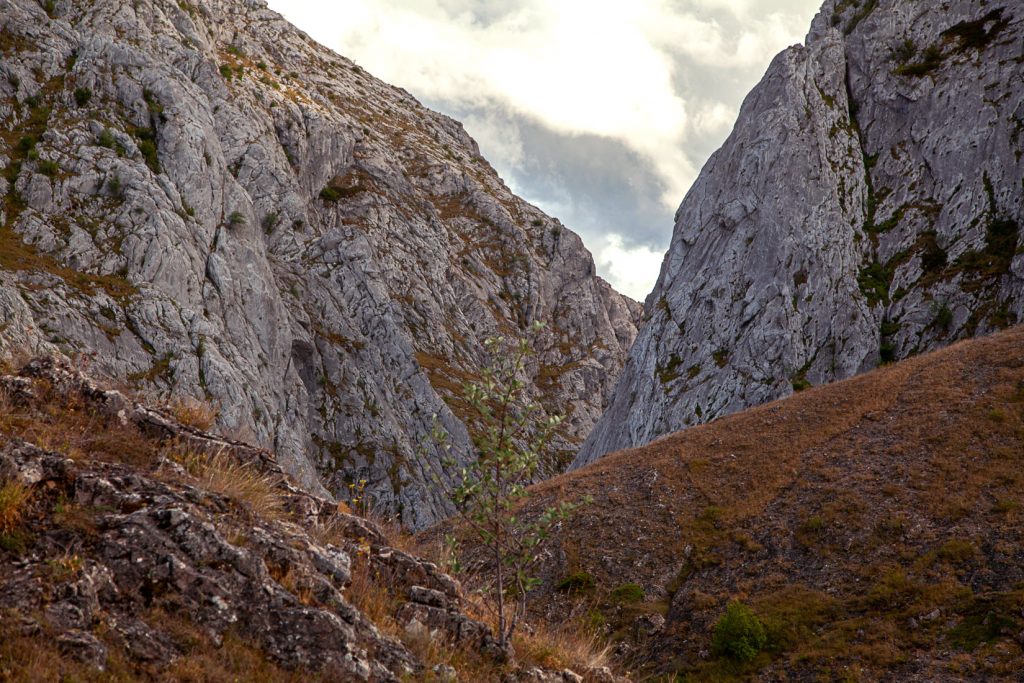 Hoces de Vegacervera. León 2019