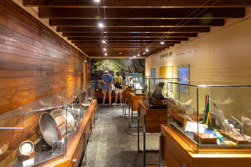 Museo del Oro de Asturias. Navelgas. Tineo 2022