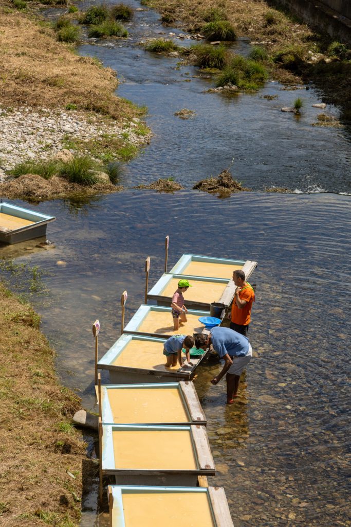 Campeonato Nacional de Bateo de Oro. Navelgas. Tineo. Asturias 2022