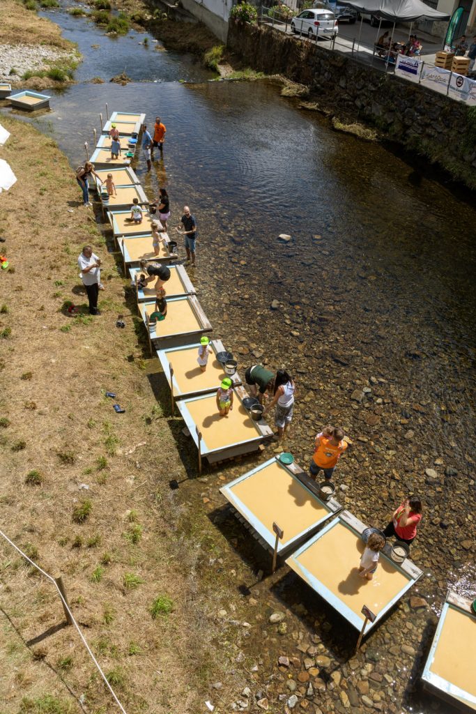 Campeonato Nacional de Bateo de Oro. Navelgas. Tineo. Asturias 2022