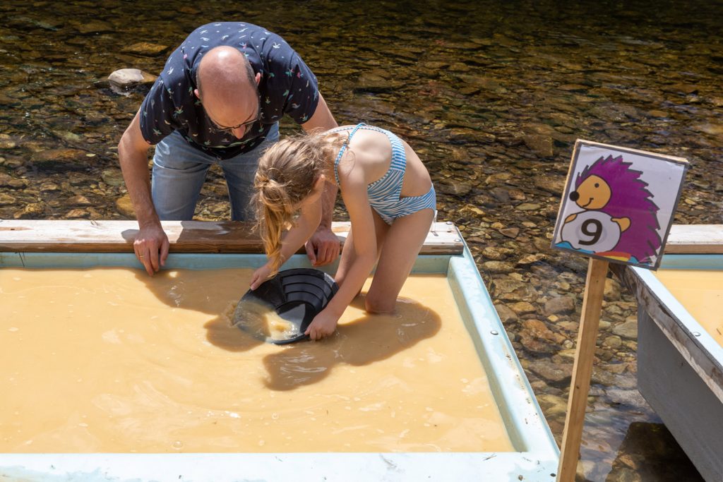 Campeonato Nacional de Bateo de Oro. Navelgas. Tineo. Asturias 2022