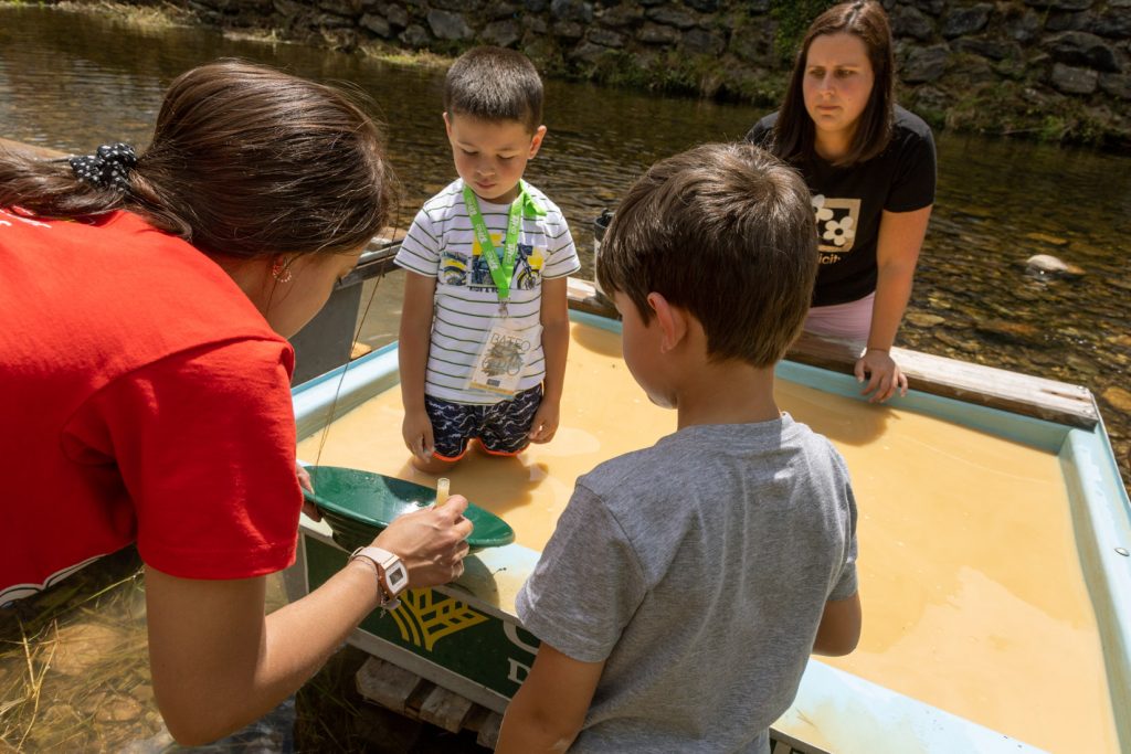 Campeonato Nacional de Bateo de Oro. Navelgas. Tineo. Asturias 2022