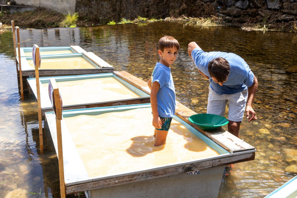 Campeonato Nacional de Bateo de Oro. Navelgas. Tineo. Asturias 2022