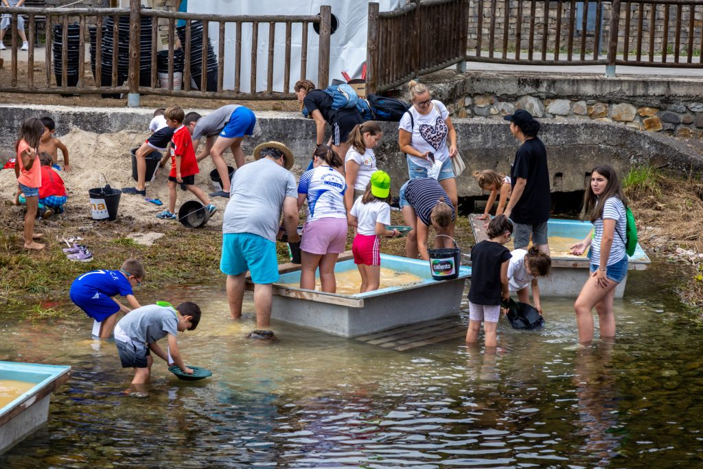 Campeonato Nacional de Bateo de Oro. Navelgas. Tineo. Asturias 2022
