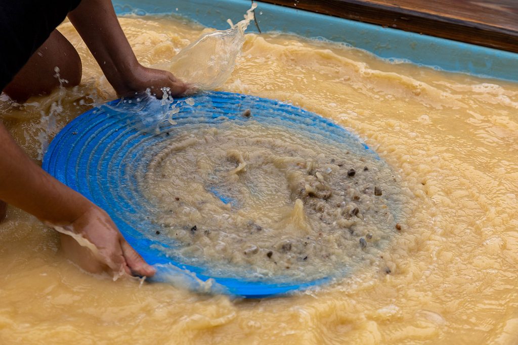 Campeonato Nacional de Bateo de Oro. Navelgas. Tineo. Asturias 2022