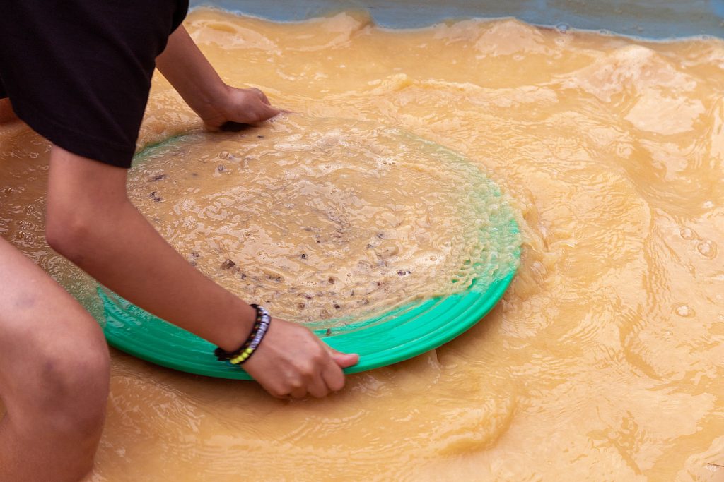 Campeonato Nacional de Bateo de Oro. Navelgas. Tineo. Asturias 2022
