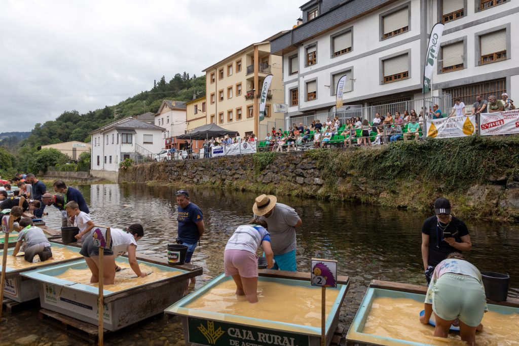 Campeonato Nacional de Bateo de Oro. Navelgas. Tineo. Asturias 2022