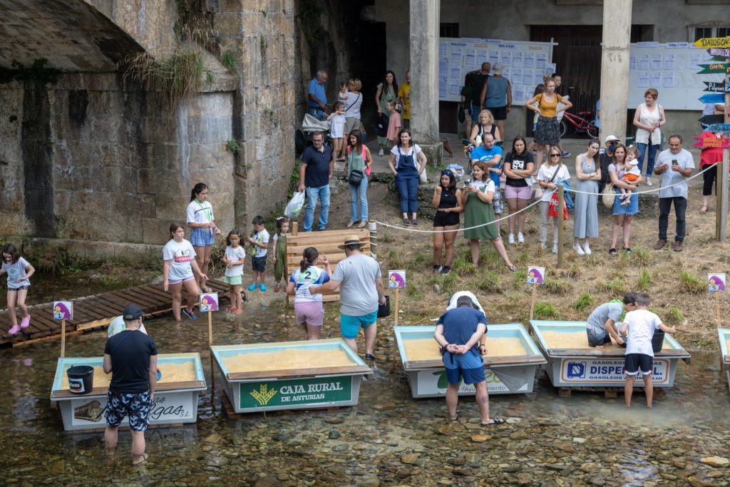 Campeonato Nacional de Bateo de Oro. Navelgas. Tineo. Asturias 2022