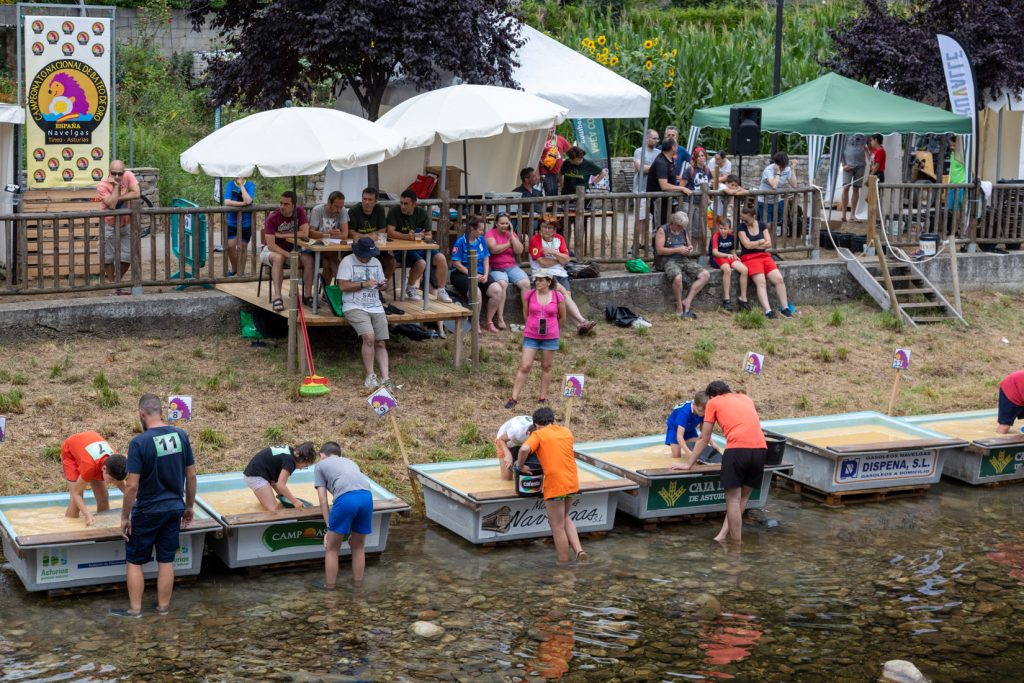 Campeonato Nacional de Bateo de Oro. Navelgas. Tineo. Asturias 2022