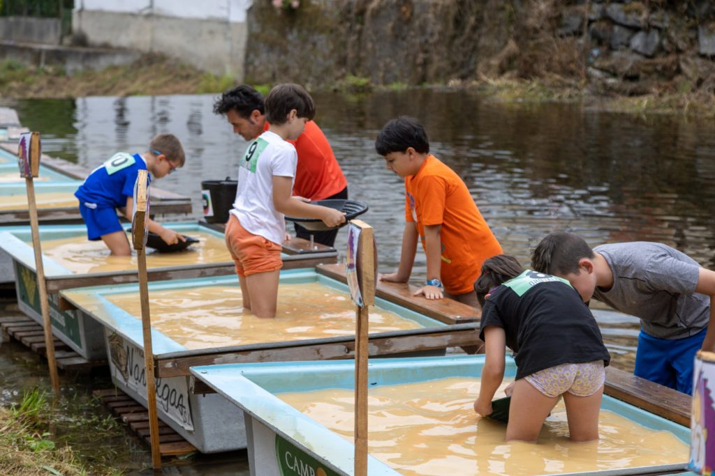 Campeonato Nacional de Bateo de Oro. Navelgas. Tineo. Asturias 2022