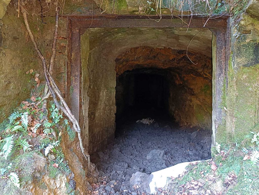 Bocamina La Raíz de Hulleras de Riosa. Morcín. Asturias. 2022