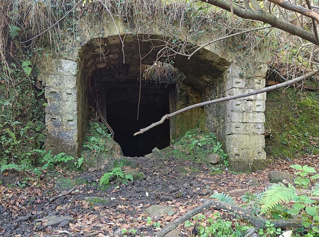 Bocamina La Raíz de Hulleras de Riosa. Morcín. Asturias. 2022