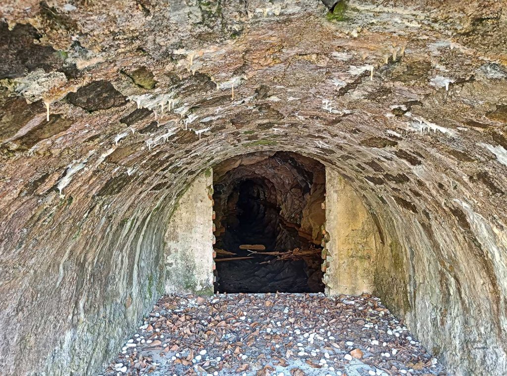 Interior de la Bocamina La Campueta. Aller. Asturias. 2023