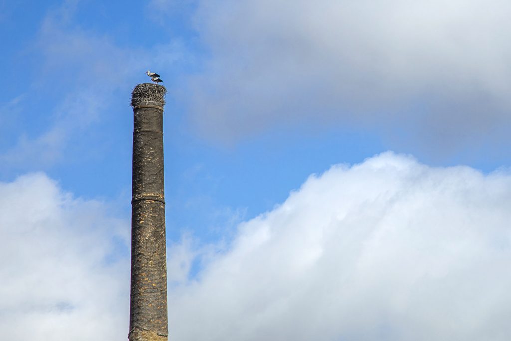 Instalaciones abandonadas del Cerco industrial de Peñarroya – Pueblonuevo. Cordoba 2023