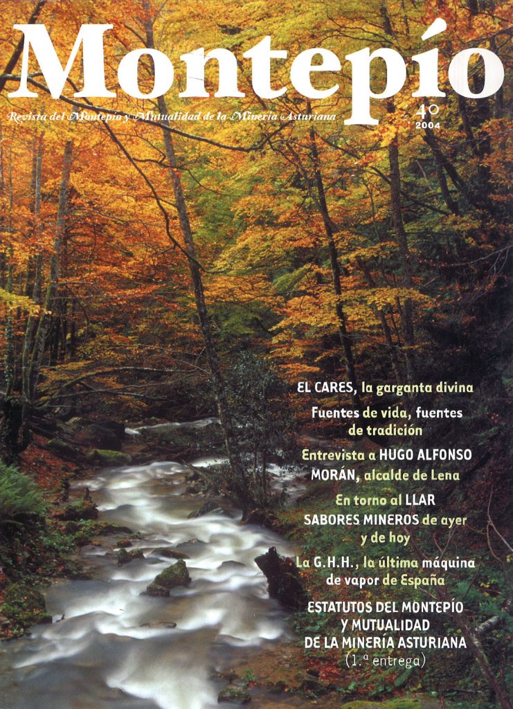 Revista del Montepio y Mutualidad de la minería Asturiana. Numero 40. Año 2004