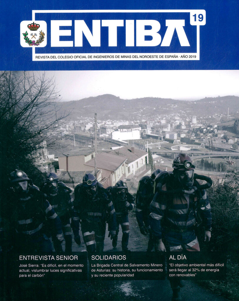 Entiba Nº19. Año 2019